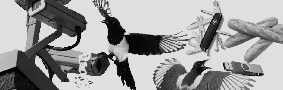 MAGPIE PROJECT